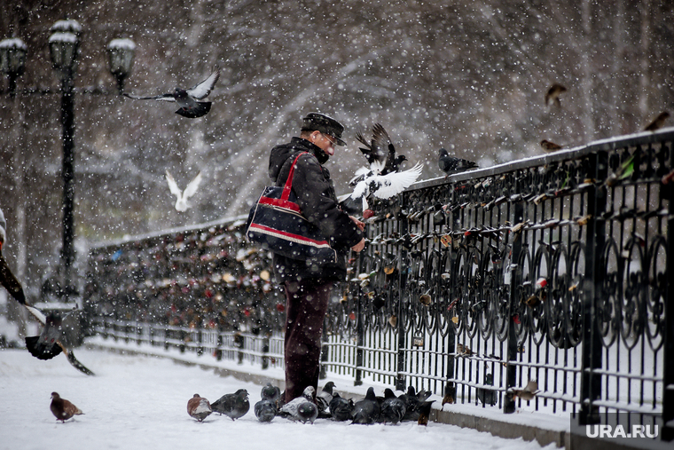 Снегопад в Екатеринбурге, снег, зима, снегопад, голуби