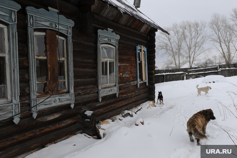Бутка. Брат Ельцина. Архив., заброшенный дом, бродячая собака, бутка