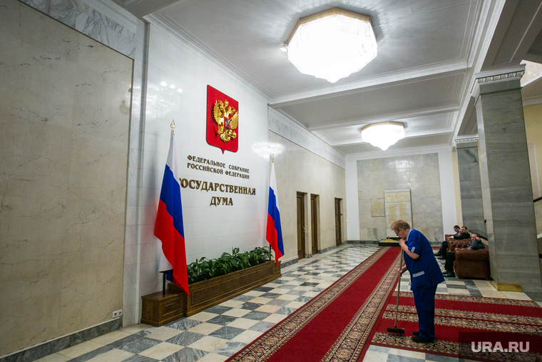 Государственная Дума РФ. Москва, уборщица, госдума, государственная дума