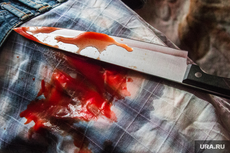 Окровавленный нож. Курган, кровь, окровавленный нож, убийство, кухонный нож