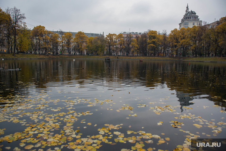 Форум "Открытые инновации". Москва, отражение, парк, патриаршие пруды, листа, осень