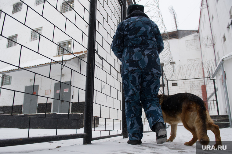 ВЫБОРЫ 2018. Голосование на выборах Президента Российской Федерации в Следственном изоляторе №1. Екатеринбург, охрана, служебная собака, решетка, гуфсин, сизо1, пропускная система