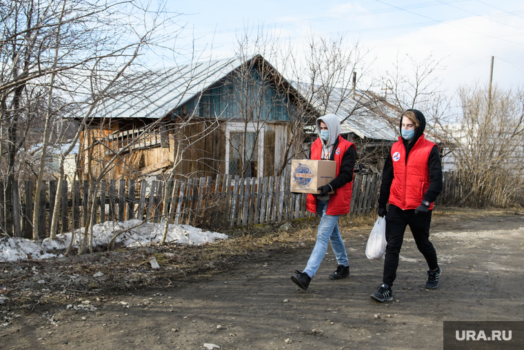 Доставка на дом продуктов питания и товаров первой необходимости волонтерами. Екатеринбург, волонтеры, молодежка онф