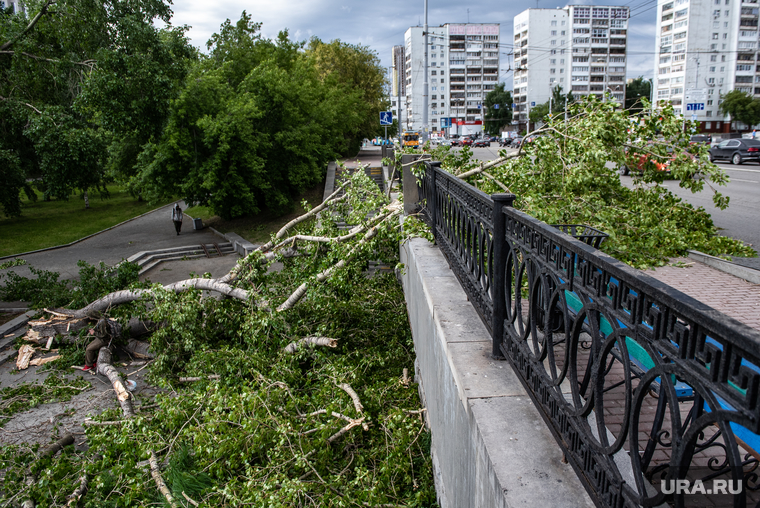 Последствия урагана в Екатеринбурге, сломанное дерево, улица карла либкнехта, екатеринбург , циклон, забор, последствия урагана, остановка тюз