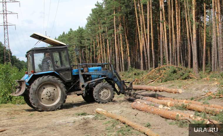 Вырубка леса
КГСХА Курганская область, трактор, вырубка леса, укладка деревьев