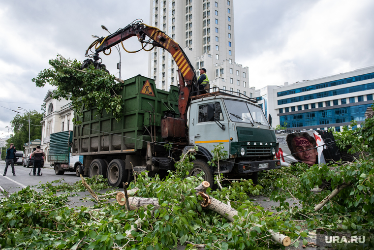 Последствия урагана в Екатеринбурге, улица куйбышева, сломанные деревья, коммунальные службы, ураган, циклон, последствия урагана