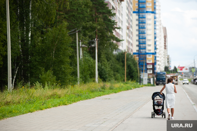 Объезд парковых зон Екатеринбурга в рамках рабочей группы по благоустройству, академический, мать, коляска детская, лето, березовая роща