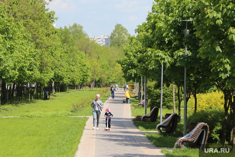 Спальные районы Москвы во время периода самоизоляции. Москва, парк, лето, строгино