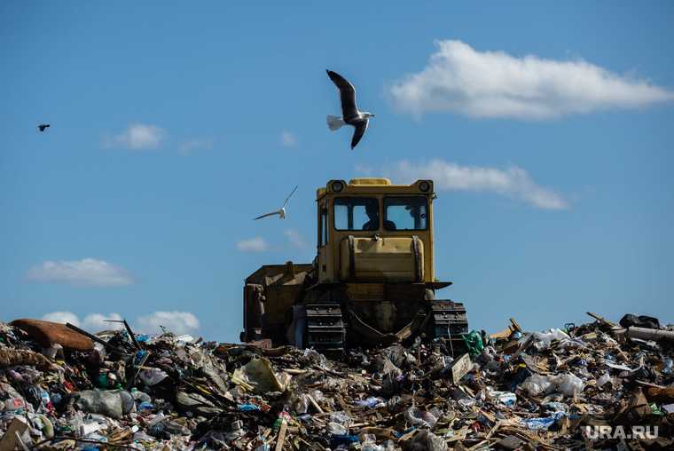 Клипарт. Сургут, птицы, отходы, полигон тбо, мусорка, бульдозер на свалке, свалка, мусорный полигон, экология