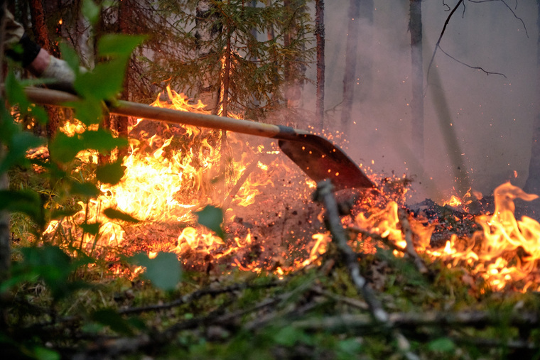 По мнению губернатора, в части лесных пожаров виноваты местные жители