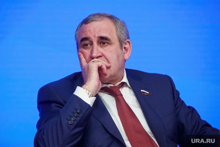 Совместное заседание Генерального Совета Партии и Совета руководителей фракций партии "Единая Россия". Москва, неверов сергей, портрет