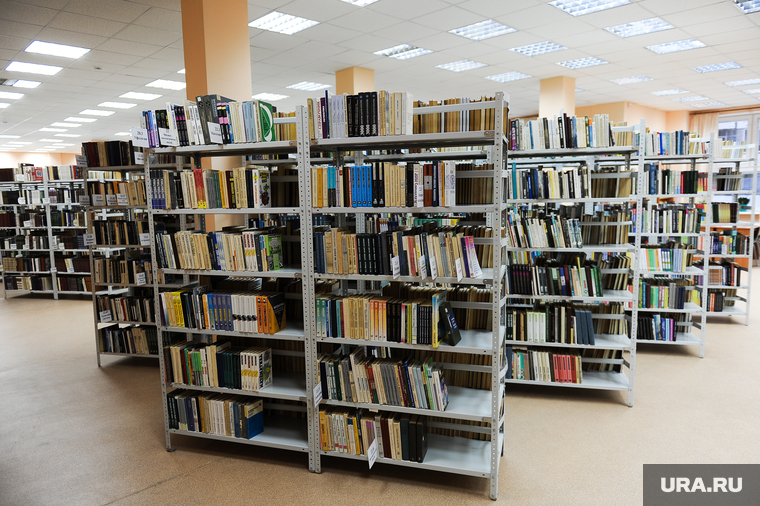 Клипарт. Снежинск. Челябинская область., библиотека, книги, стеллажи