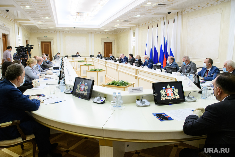 Заседание депутатской вертикали по изменению законодательства в связи с поправками в Конституцию РФ. Екатеринбург