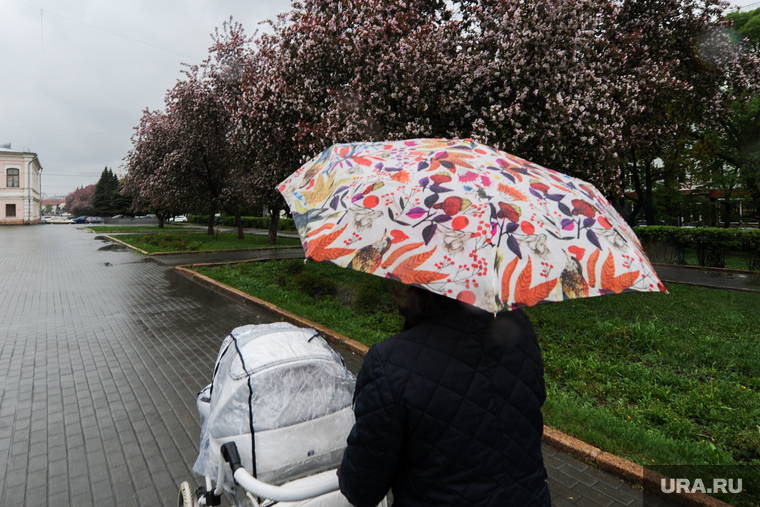 Дождь, непогода. Челябинск, погода, коляска детская, зонт, непогода, климат, дождь, яблони цветут