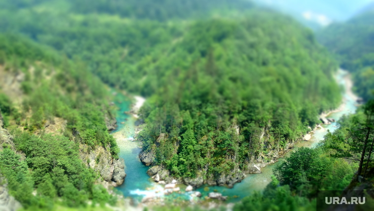 Черногория, пейзаж, лес, природа