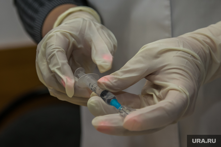Вакцинация членов правительства Курганской обл. Курган, шприц, прививка от гриппа, перчатки медицинские, руки медсестры, вакцинация