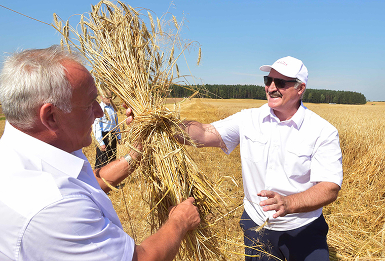 Лукашенко, stock, урожай, лукашенко александр, сток, stock