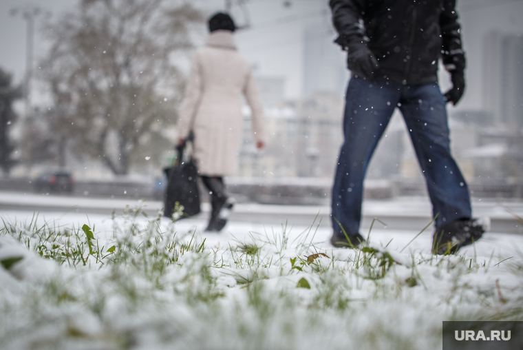 Снегопад. Екатеринбург, снег, холод, зима, трава, осень