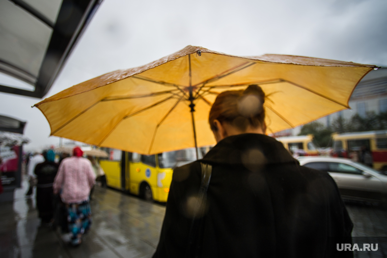 Знак аварийной остановки. Екатеринбург, непогода, дождь, осень