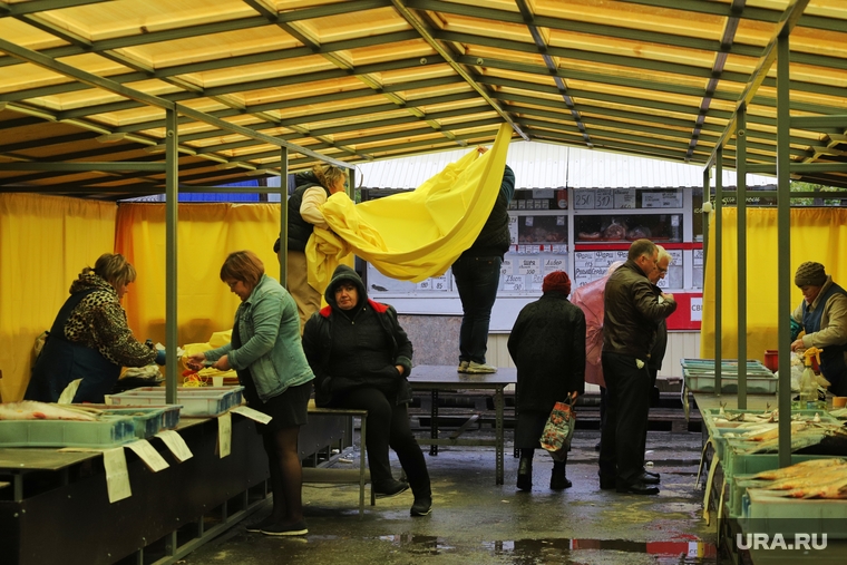 Некрасовский рынок. Курган , рыба, продавец, рыбный отдел, покупатель, некрасовский рынок