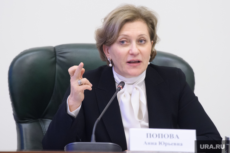 Совещание в полпредстве с главами регионов УрФО по экологии. Екатеринбург, попова анна