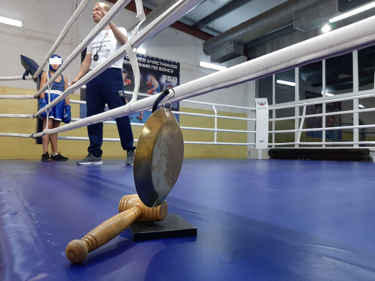 Федерация бокса России выделила школе миллион рублей на спортивный инвентарь