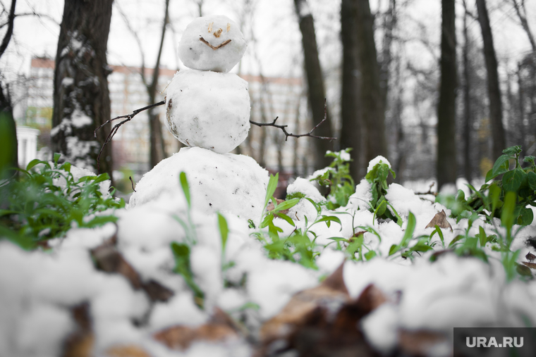Виды Екатеринбурга, снеговик, снег, растение