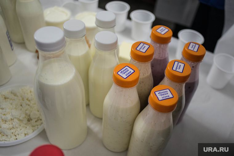 Рабочая поездка губернатора СО в Талицу, молочная продукция