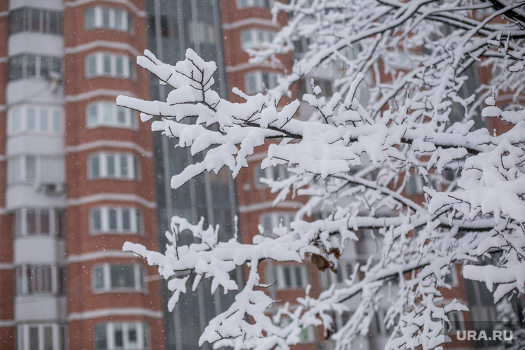 Снегопад в Москве. Москва, зима, снегопад