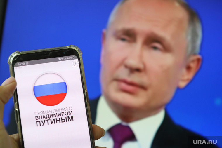 Прямая трансляция с Путиным и мобильное приложение. Курган, смартфон, сотовый телефон, трансляция путина, прямая линия, приложение, путин на экране