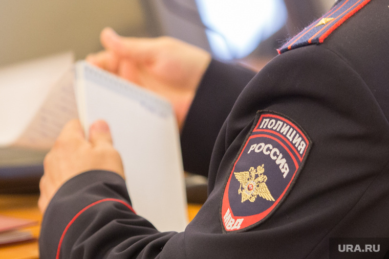 Заседание правительства области. Курган, мвд, полиция, шеврон мвд, полицейский шеврон