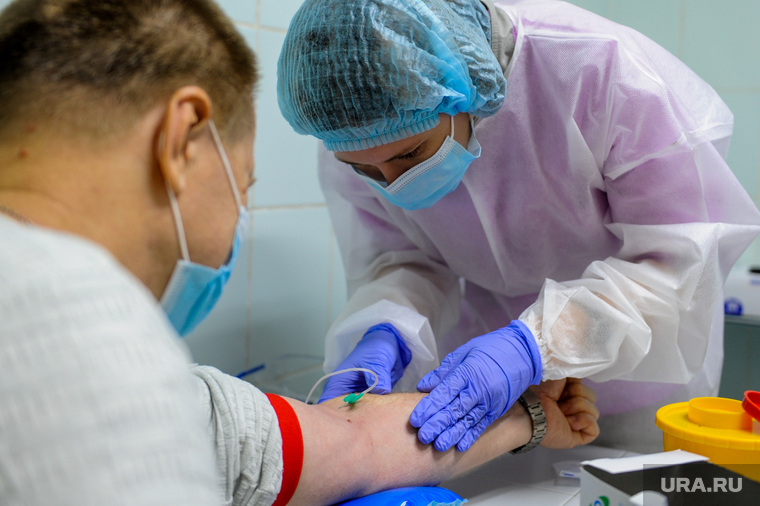 Тест на коронавирус в лаборатории. Челябинск, лаборатория, забор крови, медицина, анализ крови, коронавирус, тест на ковид