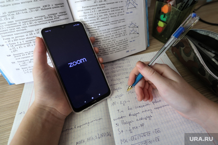 Клипарт на тему дистанционного обучения. Курган, сотовый телефон, учебники, домашнее обучение, видеоконференция, мобильный телефон, удаленка, дистанционное обучение, zoom, дистант, зум, урокионлайн