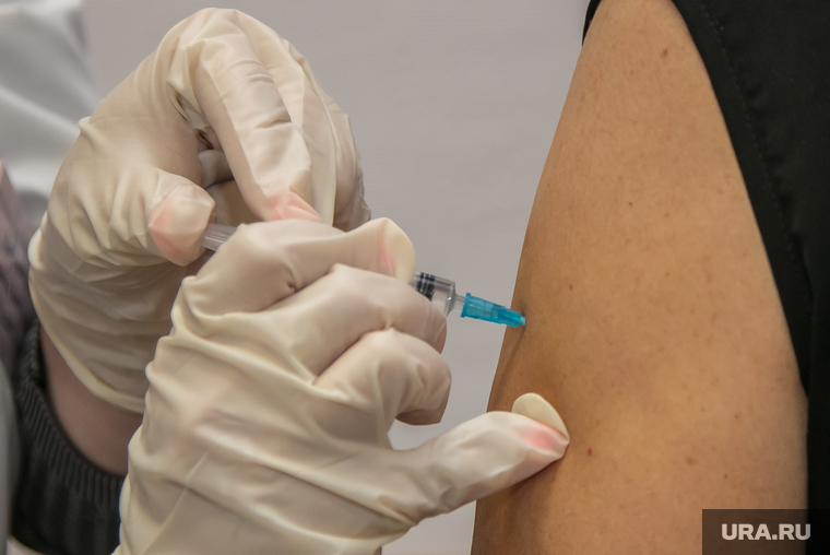 Вакцинация членов правительства Курганской обл. Курган, шприц, прививка от гриппа, перчатки медицинские, руки медсестры, вакцинация, инъекция