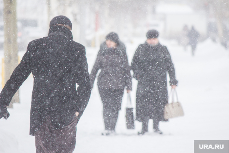 Снег в городе. Нижневартовск, снег, непогода, метель, снегопад