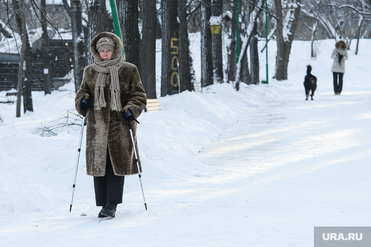 Виды Екатеринбурга, зима, парк, скандинавская ходьба, прогулка в парке
