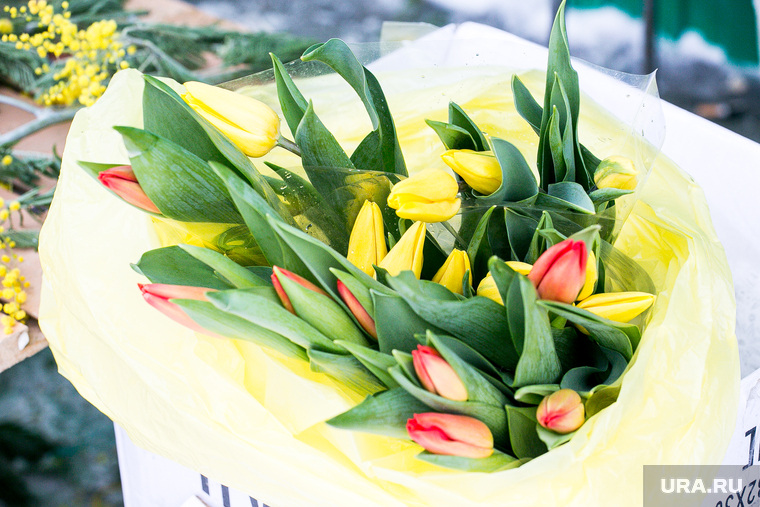 Пешеходы. Тюмень, тюльпаны, цветы, 8 марта