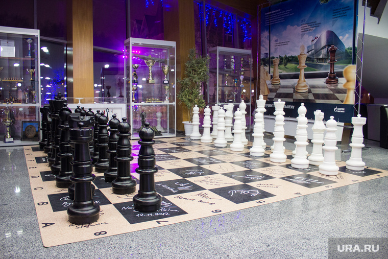 Академия шахмат. Ханты-Мансийск, шахматы, шахматная доска