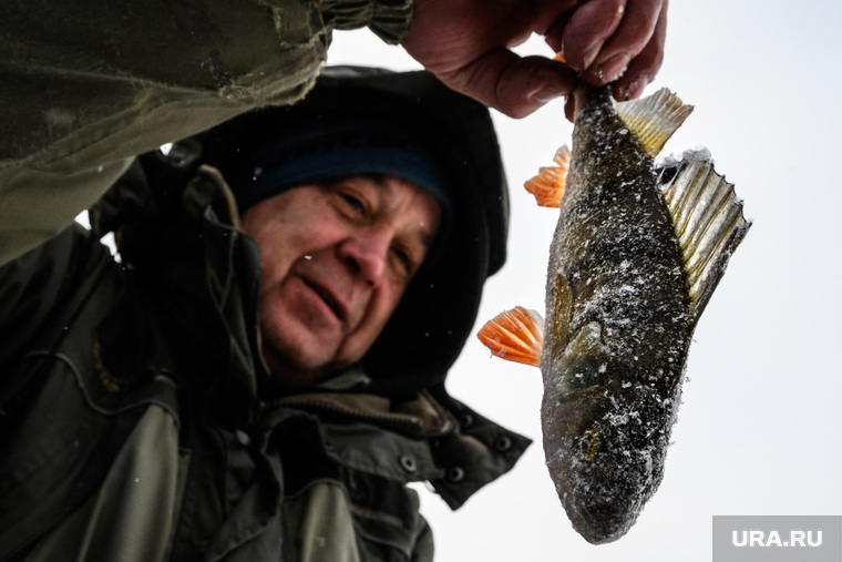 Профилактическая акция «Тонкий лед» на озере Шарташ. Екатеринбург, зимняя рыбалка, улов, окунь, рыба, отдых горожан, рыбалка