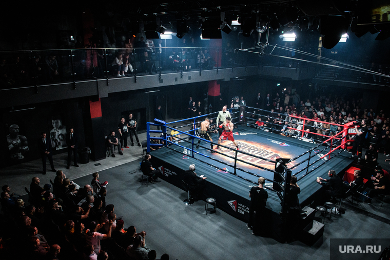 "Вечер звезд" в Академии единоборств РМК. Екатеринбург, бокс, ринг, rcc boxing promotions