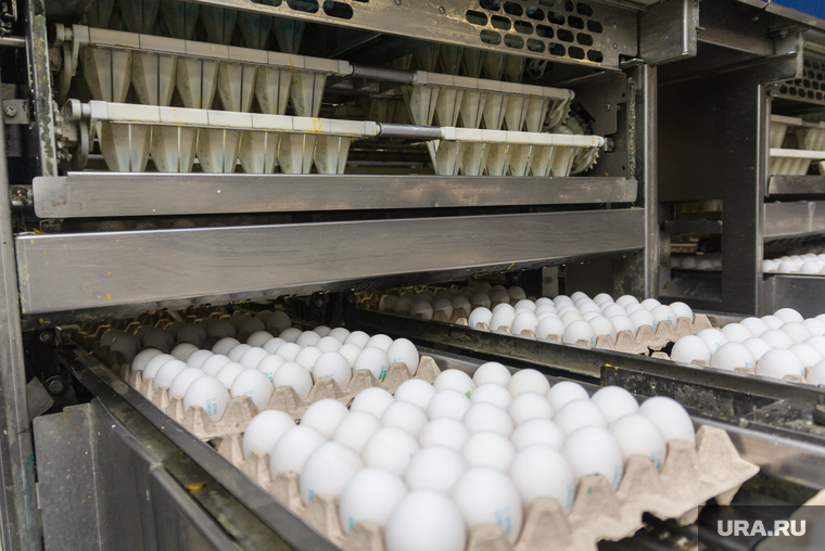 Пасхальное освящение на хлебокомбинате и птицефабрике «СИТНО». Магнитогорск, яйца, решетки для яиц