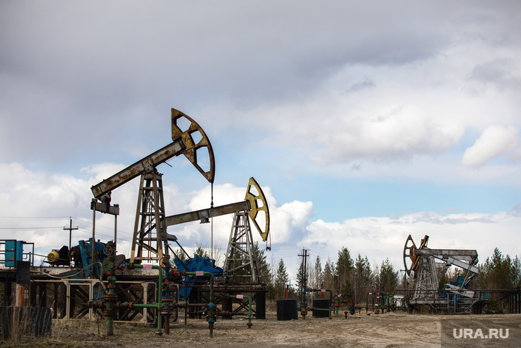 Качалки. Сургут, газ, газпром, топливо, роснефть, качалка, экономика, нефть, месторождение, нефтедобыча, добыча нефти, природные ресурсы, лукоил, сургутнефтегаз, куст нефтегазовый, цены на нефть