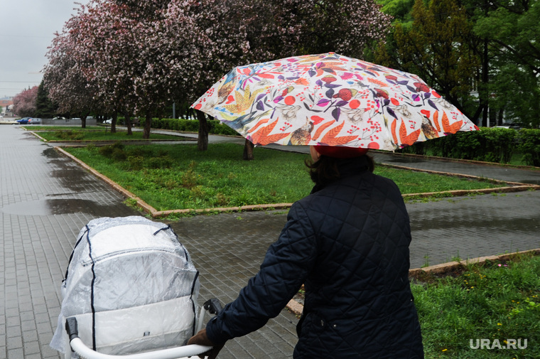 Дождь, непогода. Челябинск, погода, коляска детская, зонт, непогода, климат, весна, дождь, яблони цветут