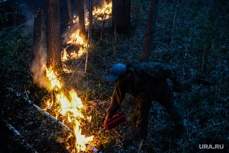 Пожар под Рефтинским. Свердловская область, тушение огня, лесной пожар, пожар в лесу, встречный пал