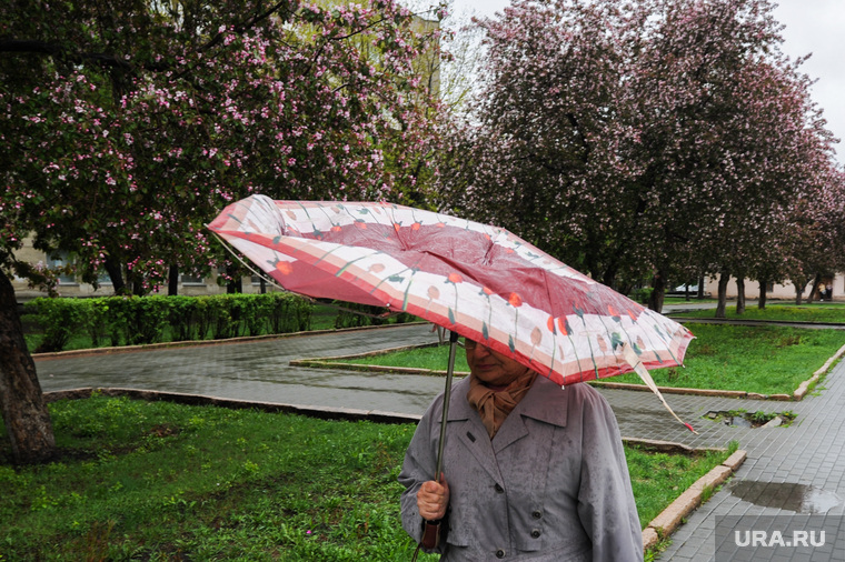 Дождь, непогода. Челябинск, погода, зонт, непогода, климат, весна, дождь, яблони цветут