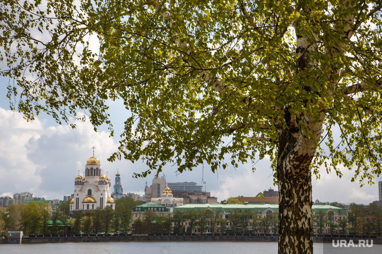 Весна в Екатеринбурге, набережная, город екатеринбург, береза, листва, храм на крови, весна, солнечная погода
