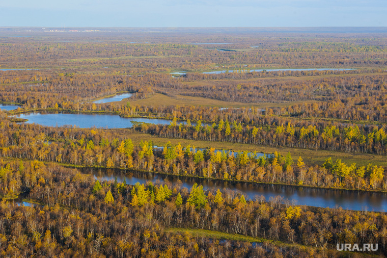 Природа Ямало-Ненецкого автономного округа, север, тундра, арктика, ямал, природа ямала, вид сверху, осень, с квадрокоптера