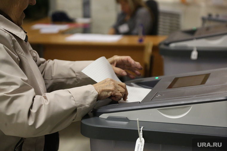 Выборы в Тюмени. Тюмень, коиб, выборы, бюллетени, избирательный участок, голосование