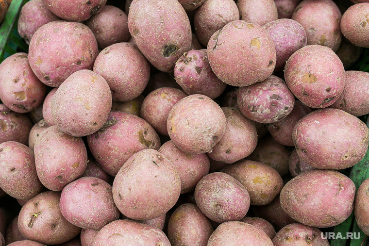 Продукты, овощи и фрукты. Тюмень, овощи, торговля, картофель, картошка