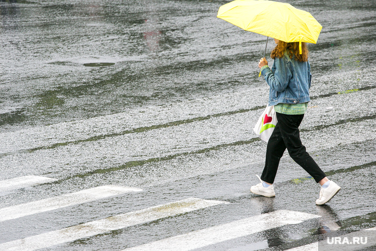 Дождливый день. Тюмень, пешеходный переход, непогода, люди с зонтами, дождь, человек с зонтом